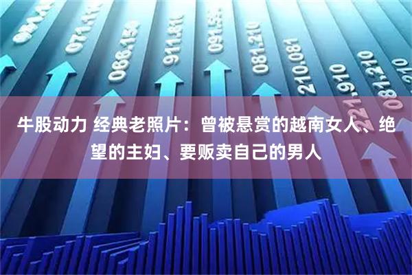牛股动力 经典老照片：曾被悬赏的越南女人、绝望的主妇、要贩卖自己的男人