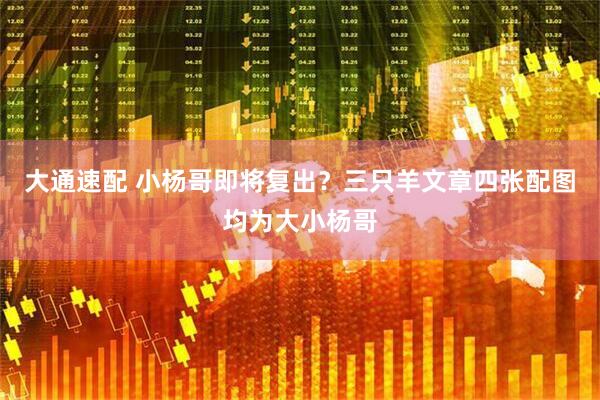 大通速配 小杨哥即将复出？三只羊文章四张配图均为大小杨哥