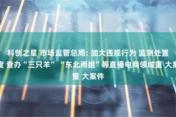 科创之星 市场监管总局: 加大违规行为 监测处置力度 查办“三只羊” “东北雨姐”等直播电商领域重 大案件