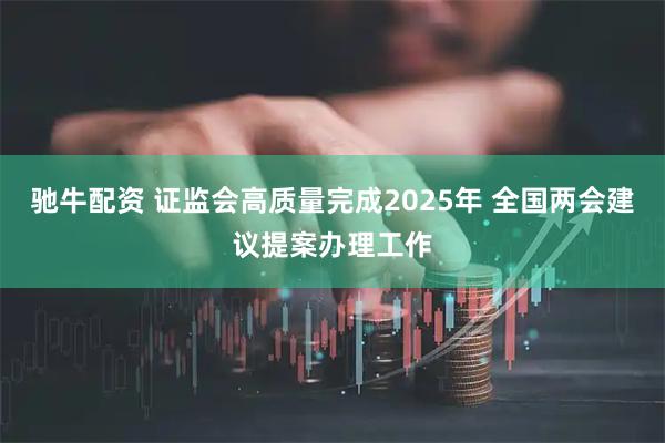 驰牛配资 证监会高质量完成2025年 全国两会建议提案办理工作