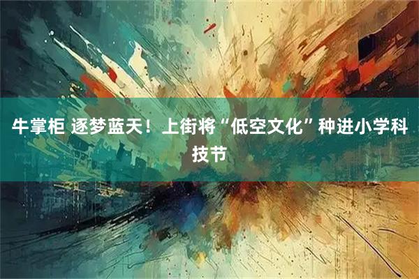 牛掌柜 逐梦蓝天！上街将“低空文化”种进小学科技节