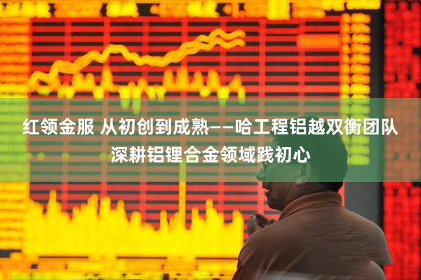 红领金服 从初创到成熟——哈工程铝越双衡团队深耕铝锂合金领域践初心