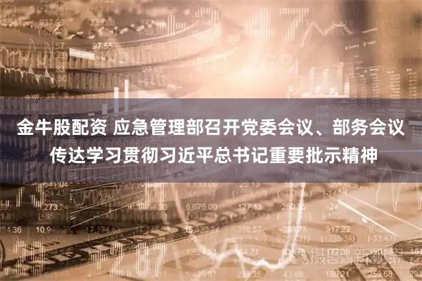 金牛股配资 应急管理部召开党委会议、部务会议 传达学习贯彻习近平总书记重要批示精神