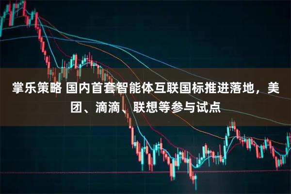 掌乐策略 国内首套智能体互联国标推进落地，美团、滴滴、联想等参与试点