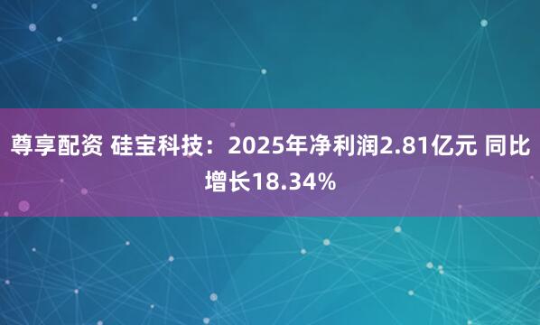 尊享配资 硅宝科技：2025年净利润2.81亿元 同比增长18.34%