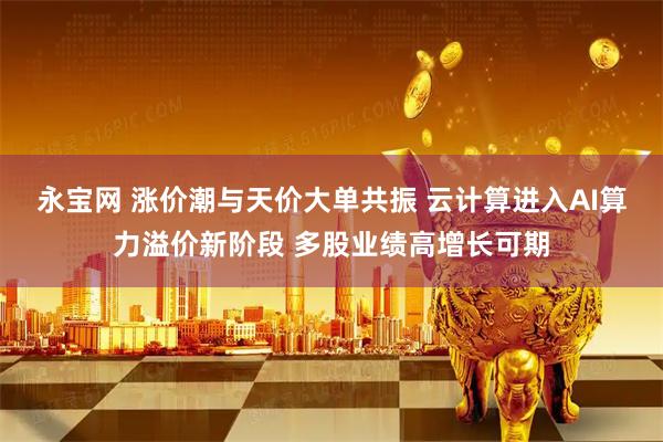永宝网 涨价潮与天价大单共振 云计算进入AI算力溢价新阶段 多股业绩高增长可期