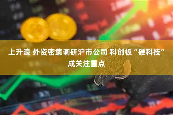 上升浪 外资密集调研沪市公司 科创板“硬科技”成关注重点