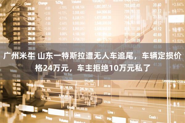 广州米牛 山东一特斯拉遭无人车追尾，车辆定损价格24万元，车主拒绝10万元私了