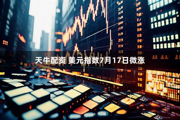 天牛配资 美元指数7月17日微涨
