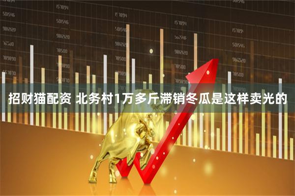 招财猫配资 北务村1万多斤滞销冬瓜是这样卖光的