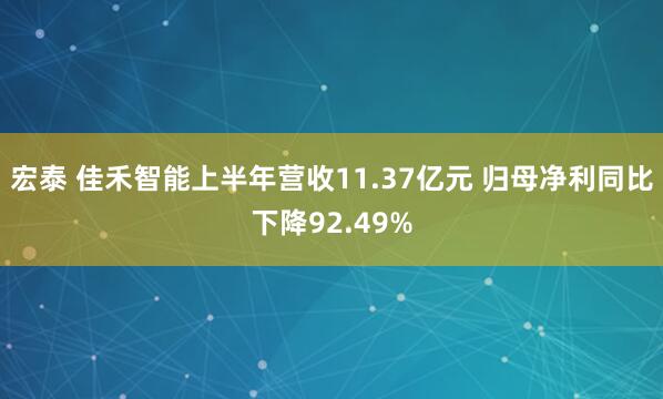 宏泰 佳禾智能上半年营收11.37亿元 归母净利同比下降92.49%